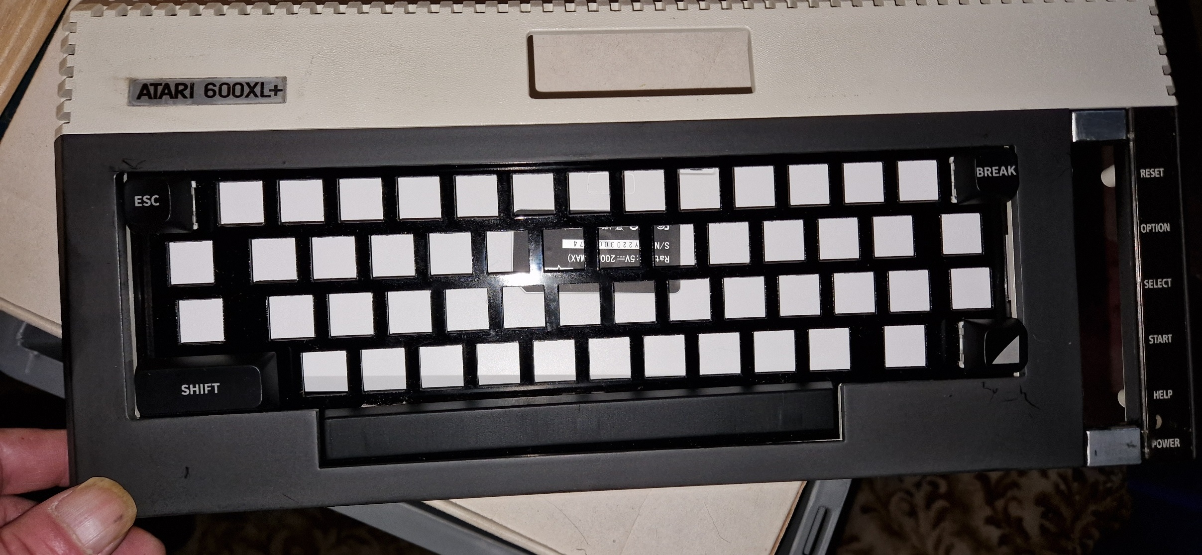 20241218_103442.jpg
